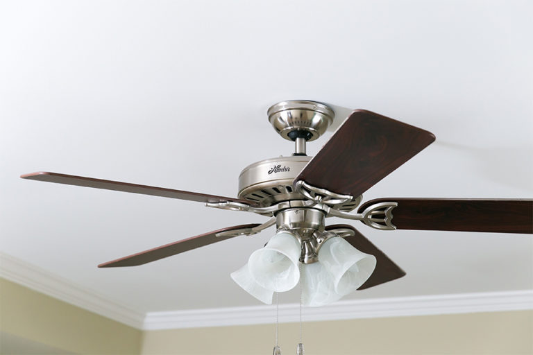 Ceiling Fan with Lights